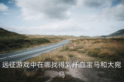 野馬大廈看汗血寶馬，遠征大腕馬 汗血寶馬 在那抓...